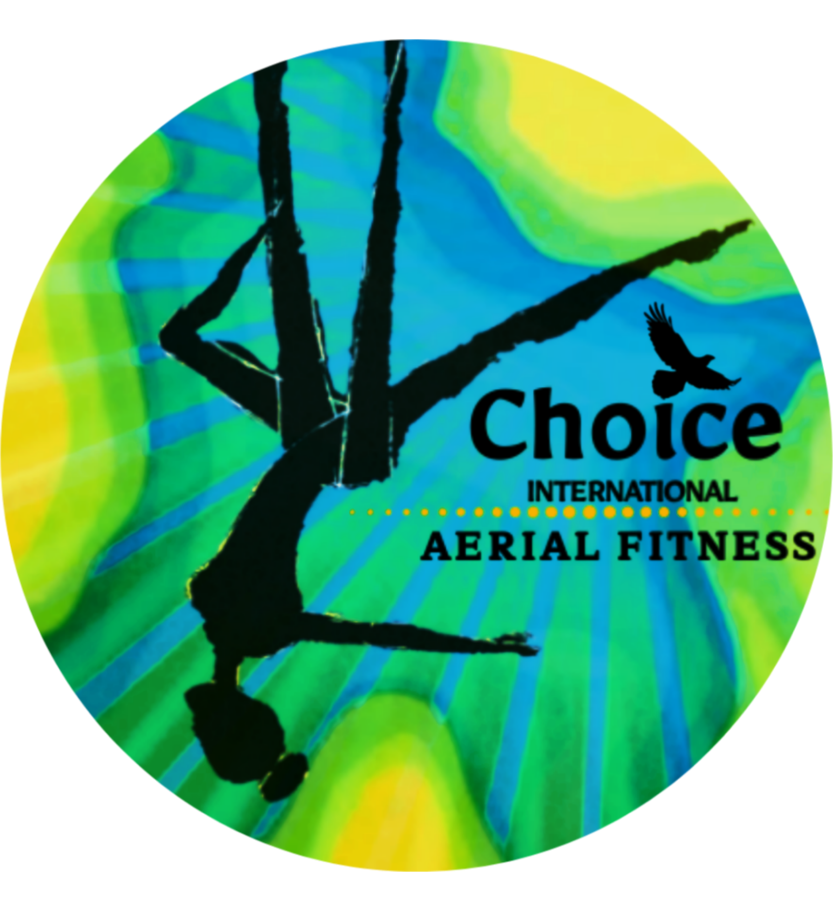 Choice International Aerial Fitness